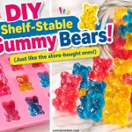 Branded Yum Junction graphic titled "DIY Shelf-Stable Gummy Bears! (Just like the store-bought ones!)." The split image shows a glass dropper filling a pink silicone mold with pink liquid on the left and finished red, yellow, and blue gummy bears on a white marble surface on the right.